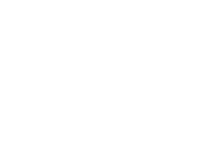 Fondazione Velini